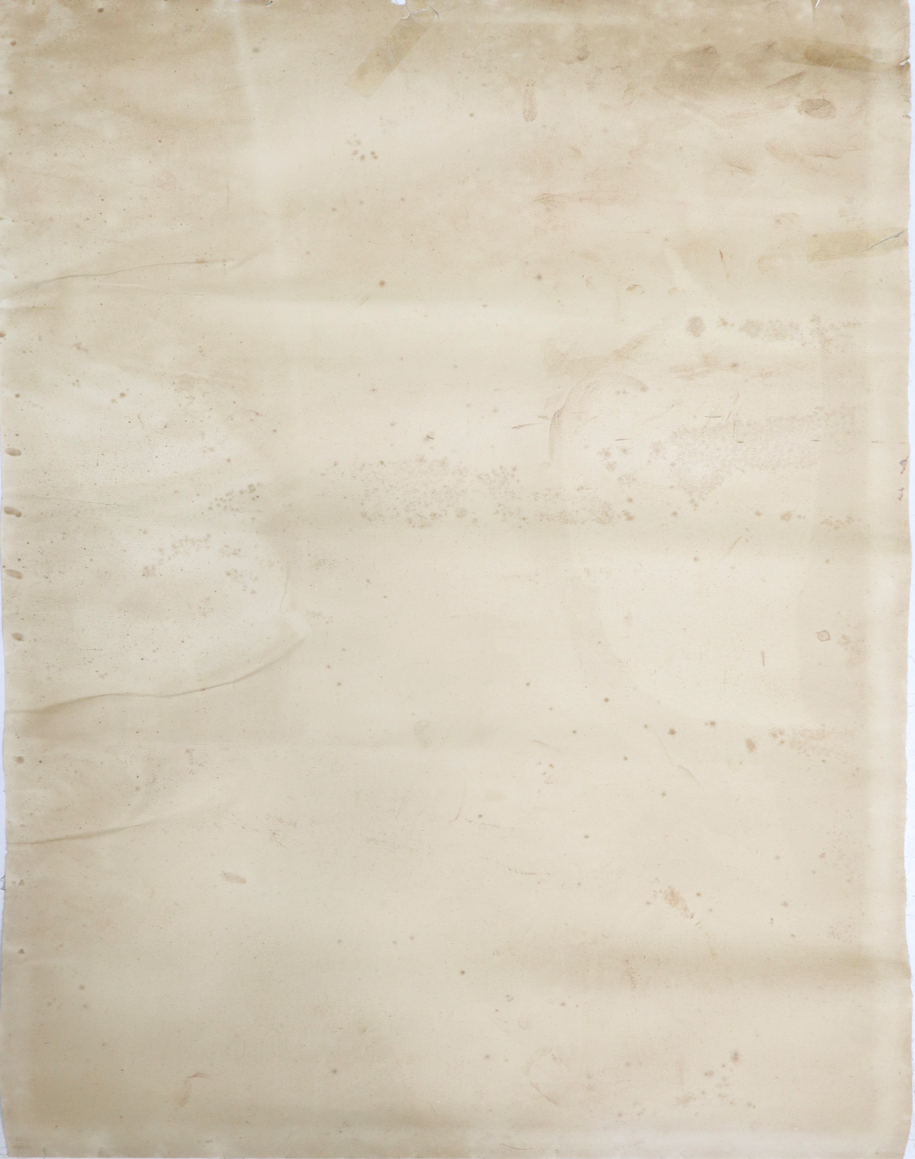 Poster della mostra - Jane Avril - Jardin de Paris