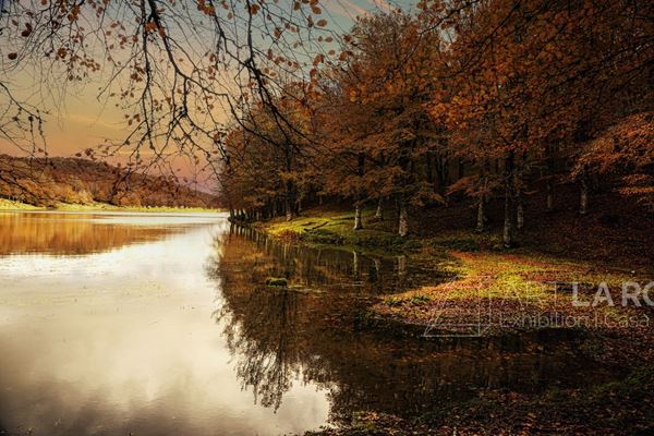 Fernando Famiani - Autumn on the Nebrodi