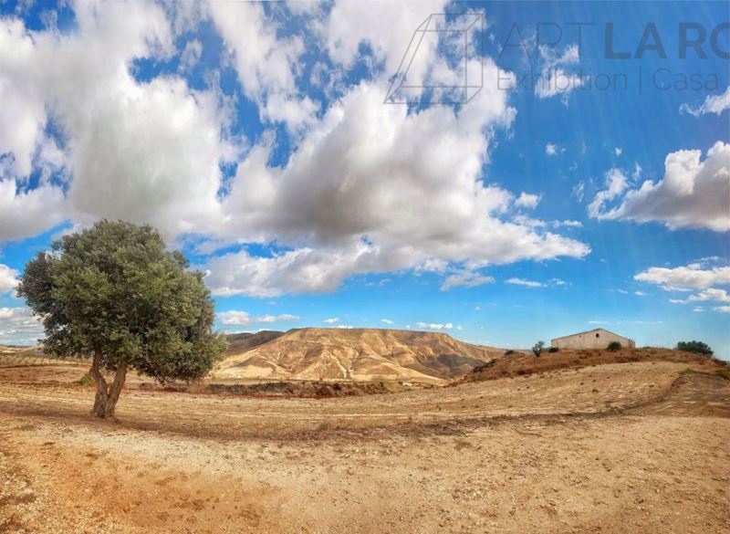 Angelo Lipari - Paesaggio Campestre