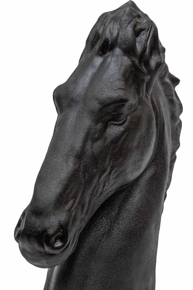 Patania di Mano in Mano - Testa di Cavallo