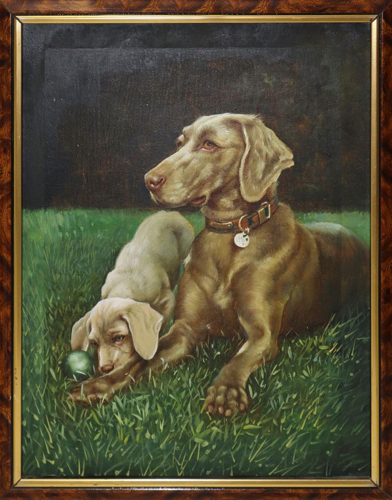 Coppia di Cani