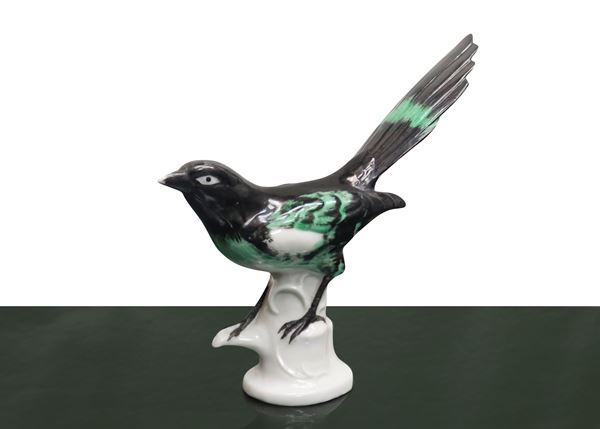 Uccello nei toni del nero e del verde