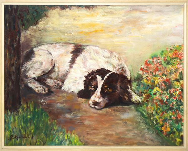 Cane
