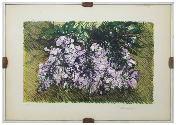 Giancarlo Cazzaniga - Wisteria