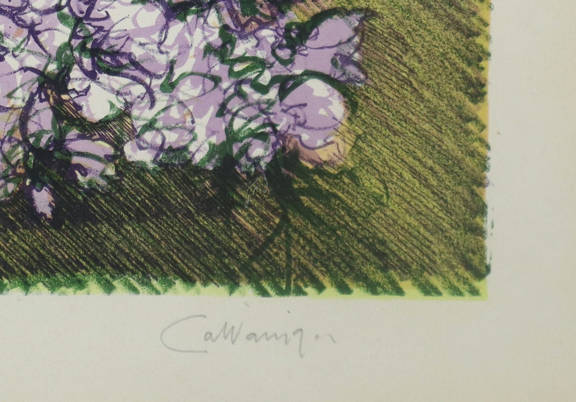 Giancarlo Cazzaniga - Glicine