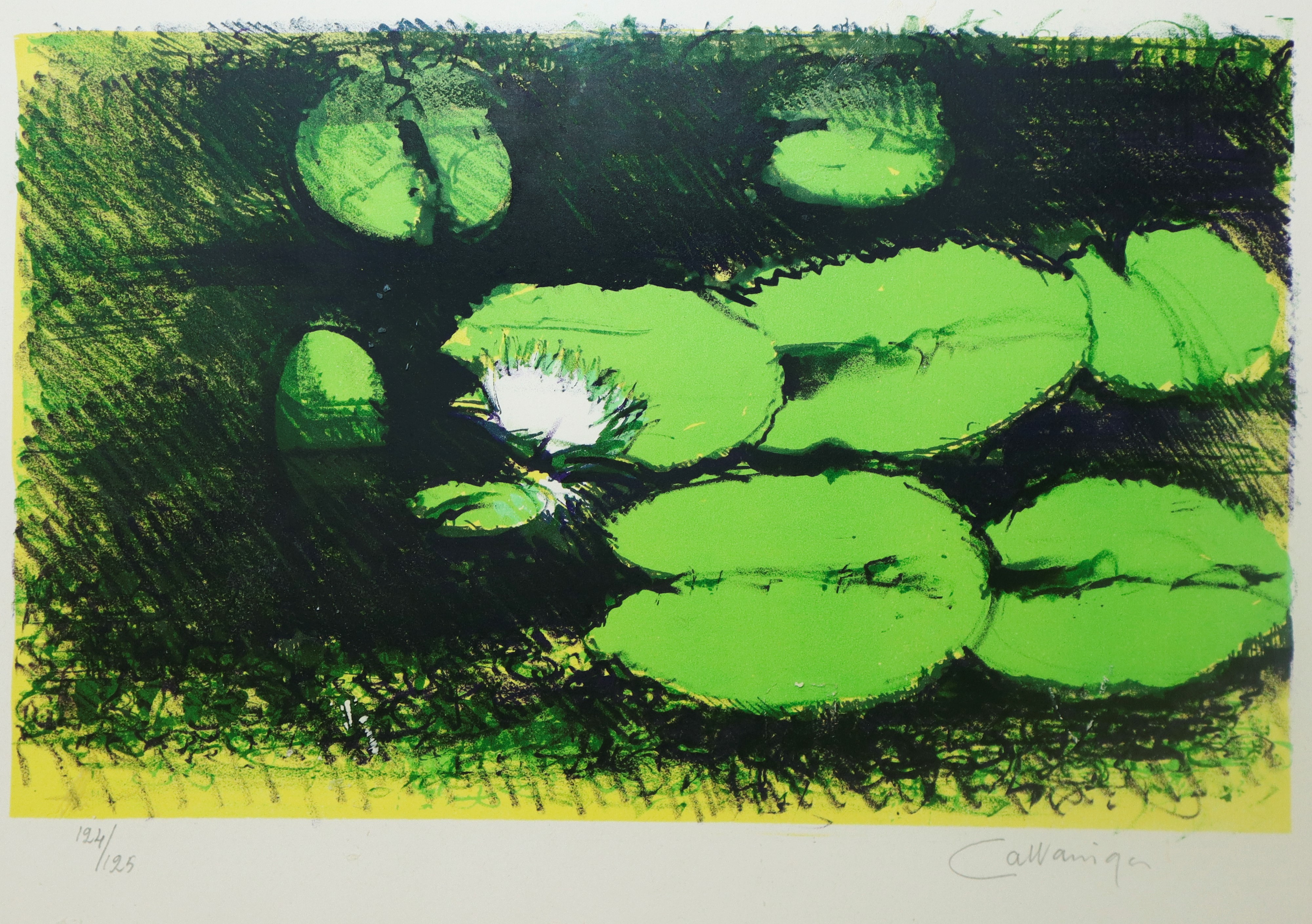 Giancarlo Cazzaniga - Ninfee, litografia