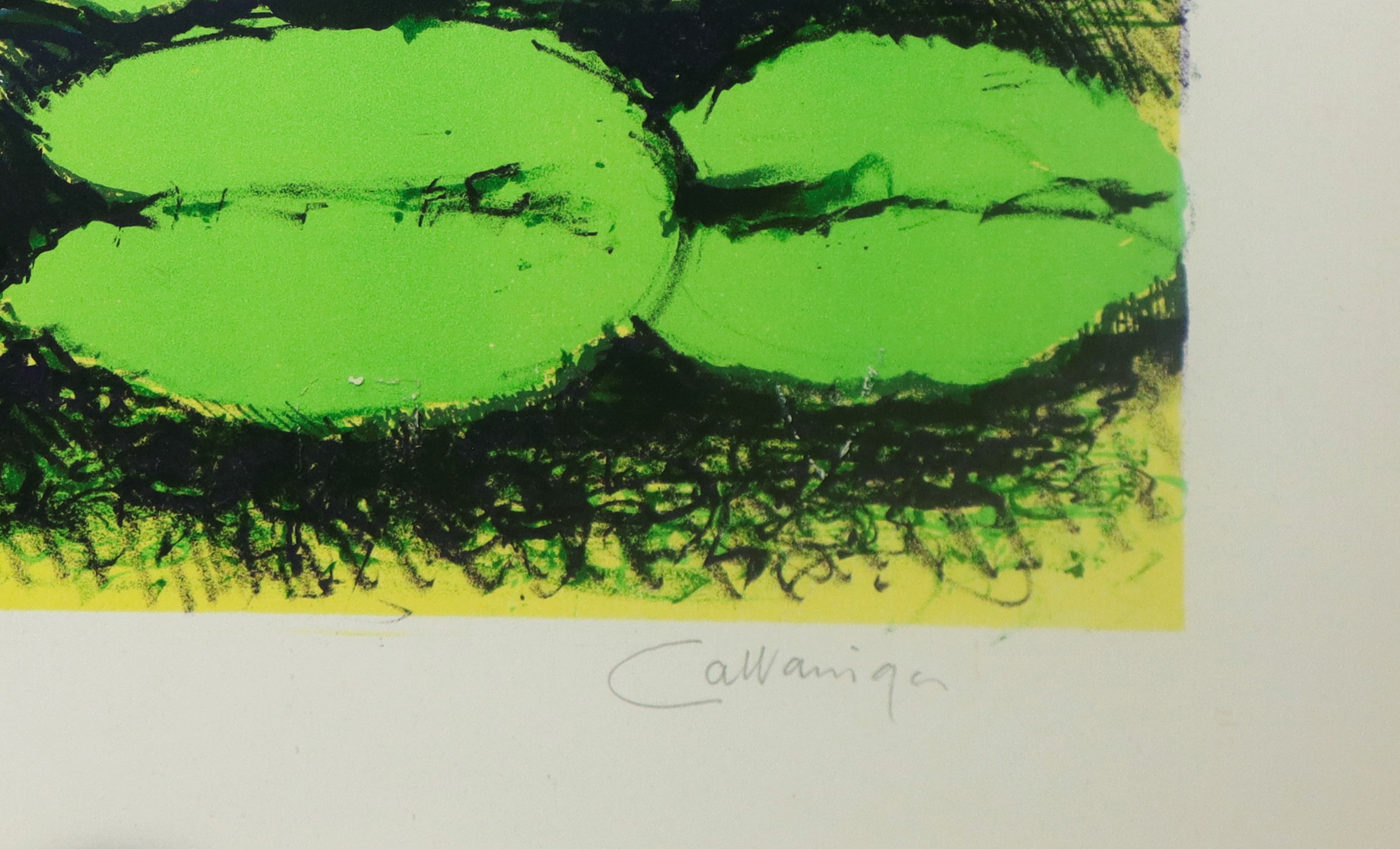 Giancarlo Cazzaniga - Ninfee, litografia