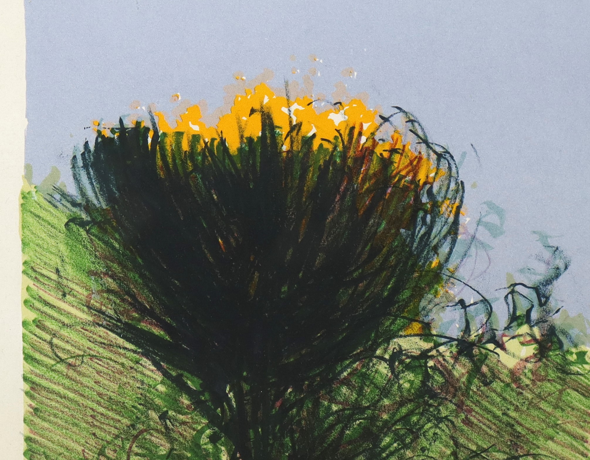 Giancarlo Cazzaniga - Ginestre, litografia
