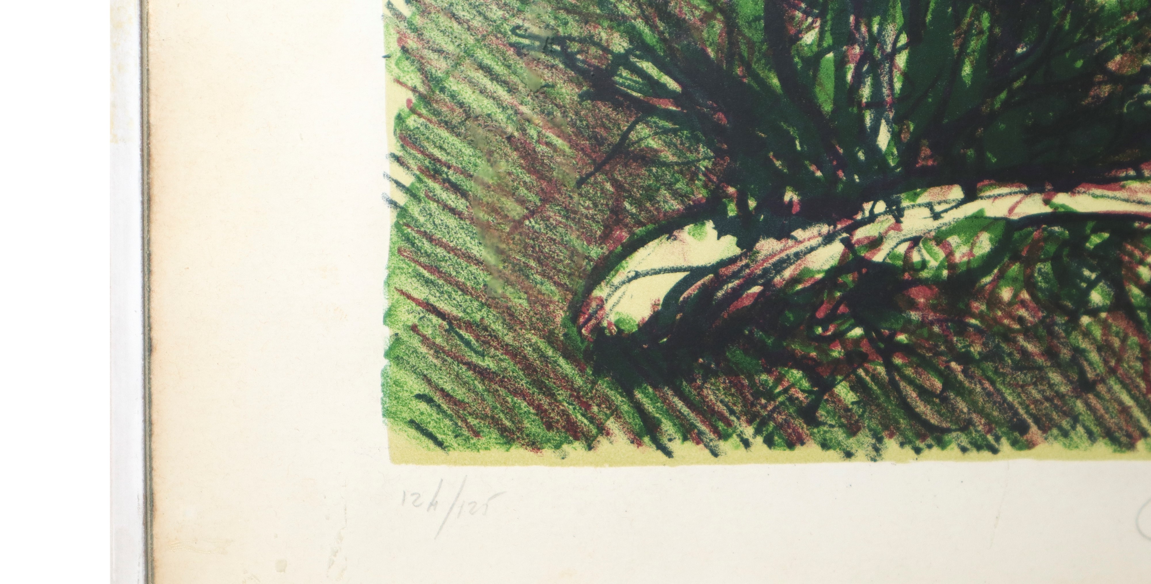 Giancarlo Cazzaniga - Ginestre, litografia