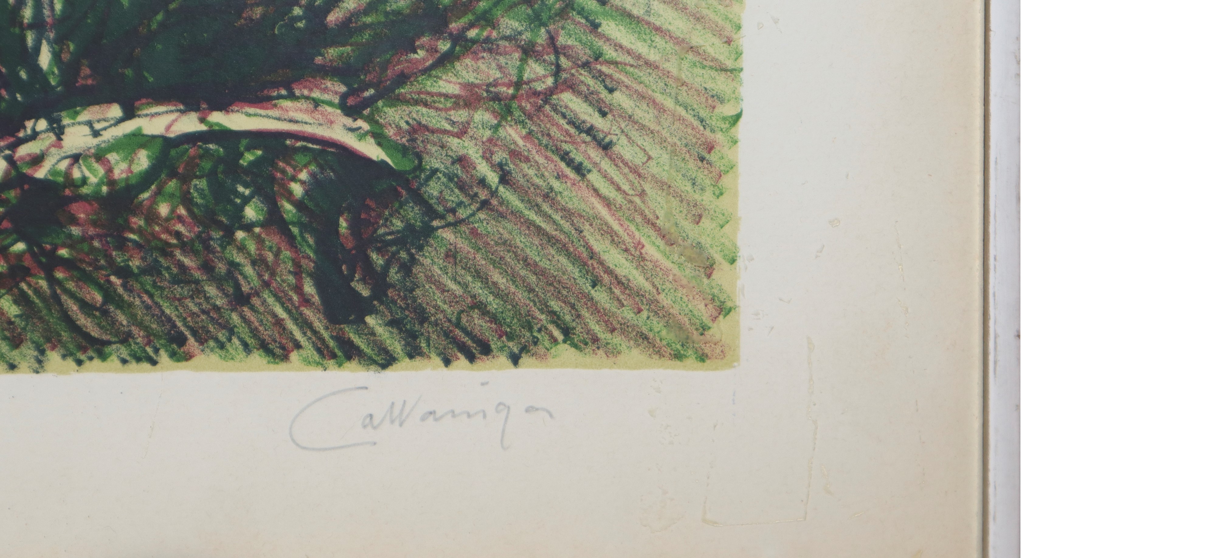 Giancarlo Cazzaniga - Ginestre, litografia