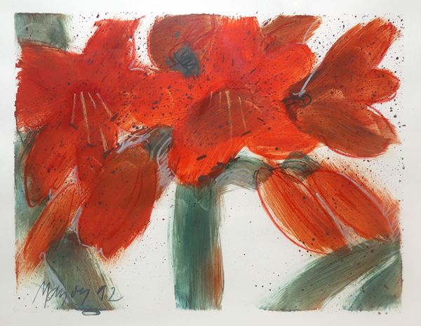 Hibiscus
