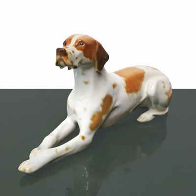 Cane