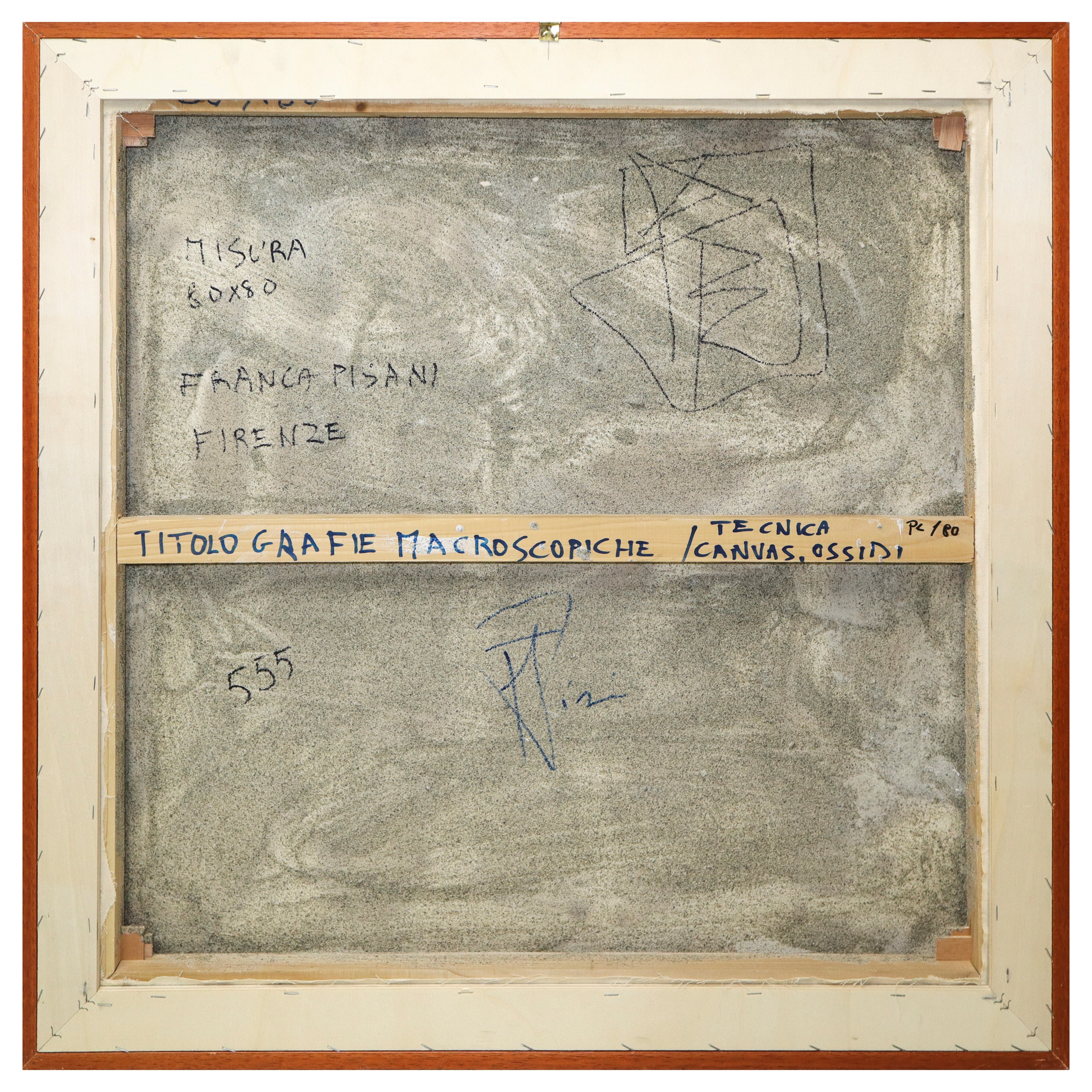 Grafie Macroscopiche