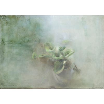 Natura Morta di Fiori