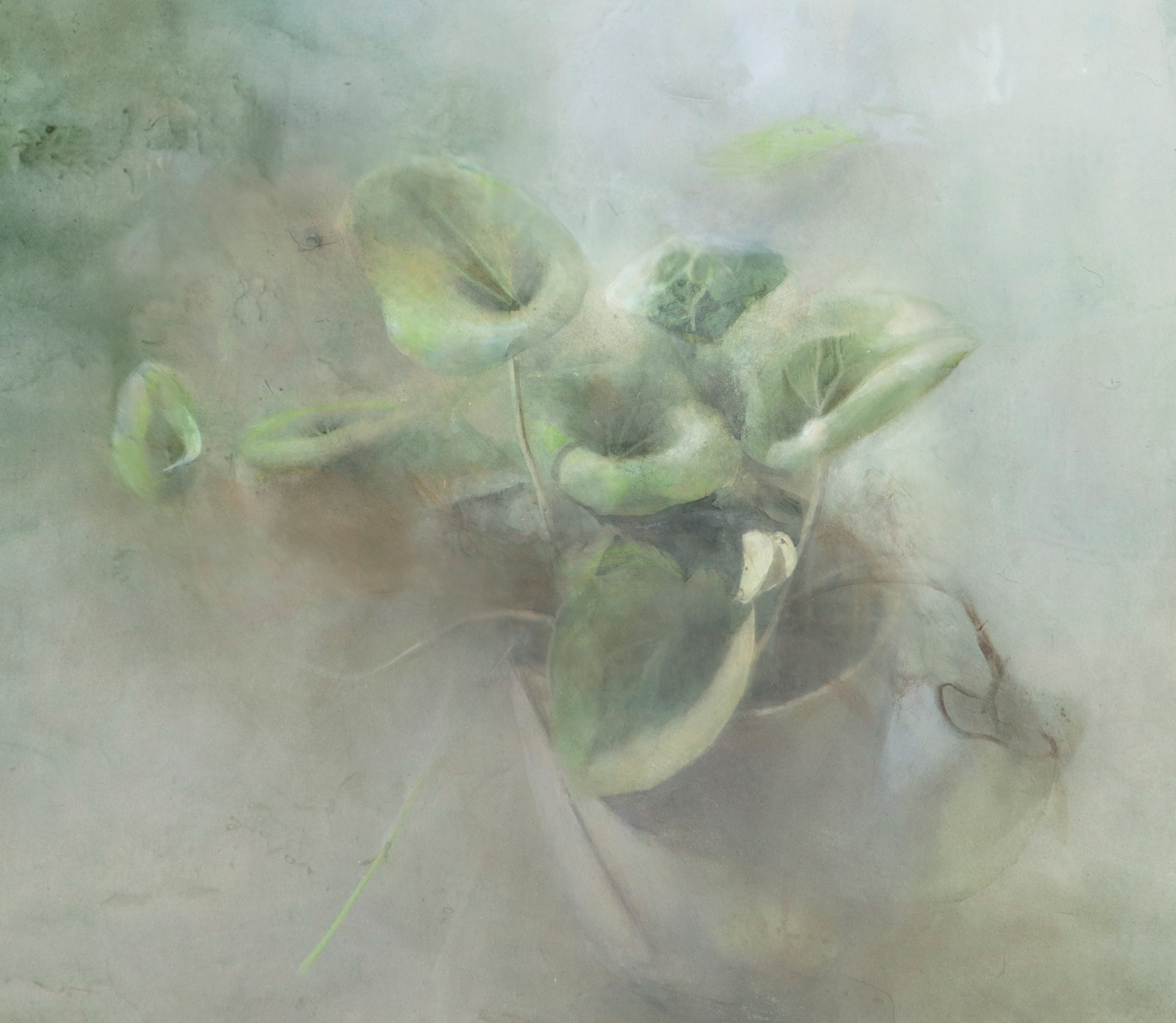 Mario Fallani - Natura Morta di Fiori