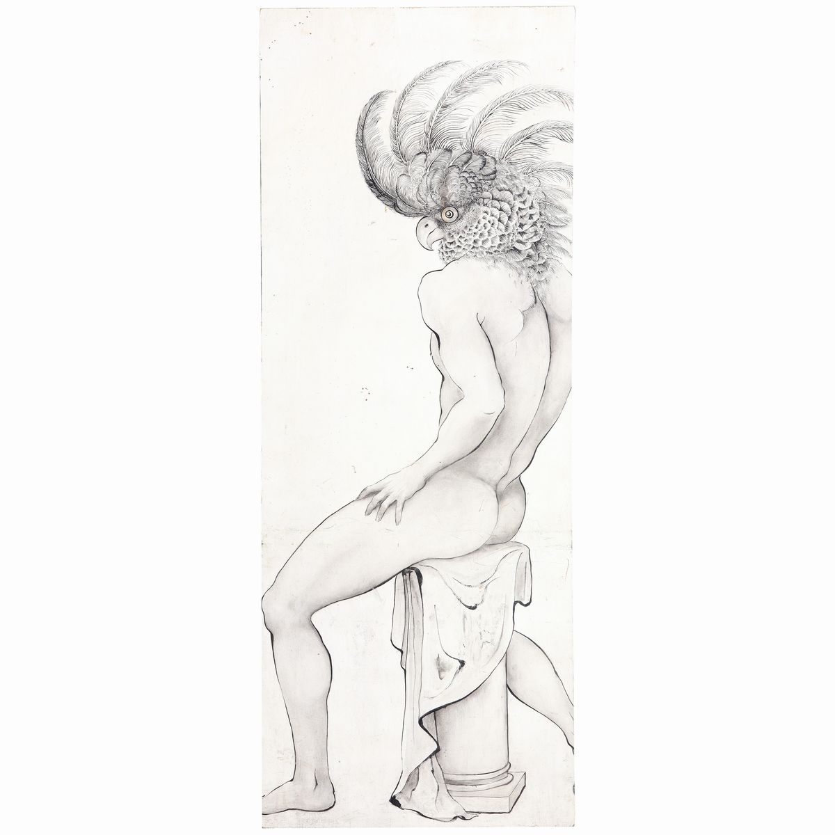 Nudo di Uomo / Pappagallo