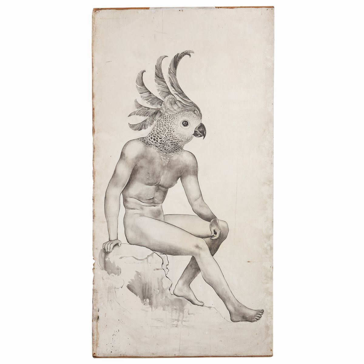 Nudo di Uomo / Pappagallo