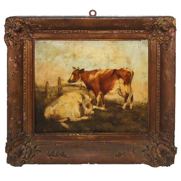 Cows