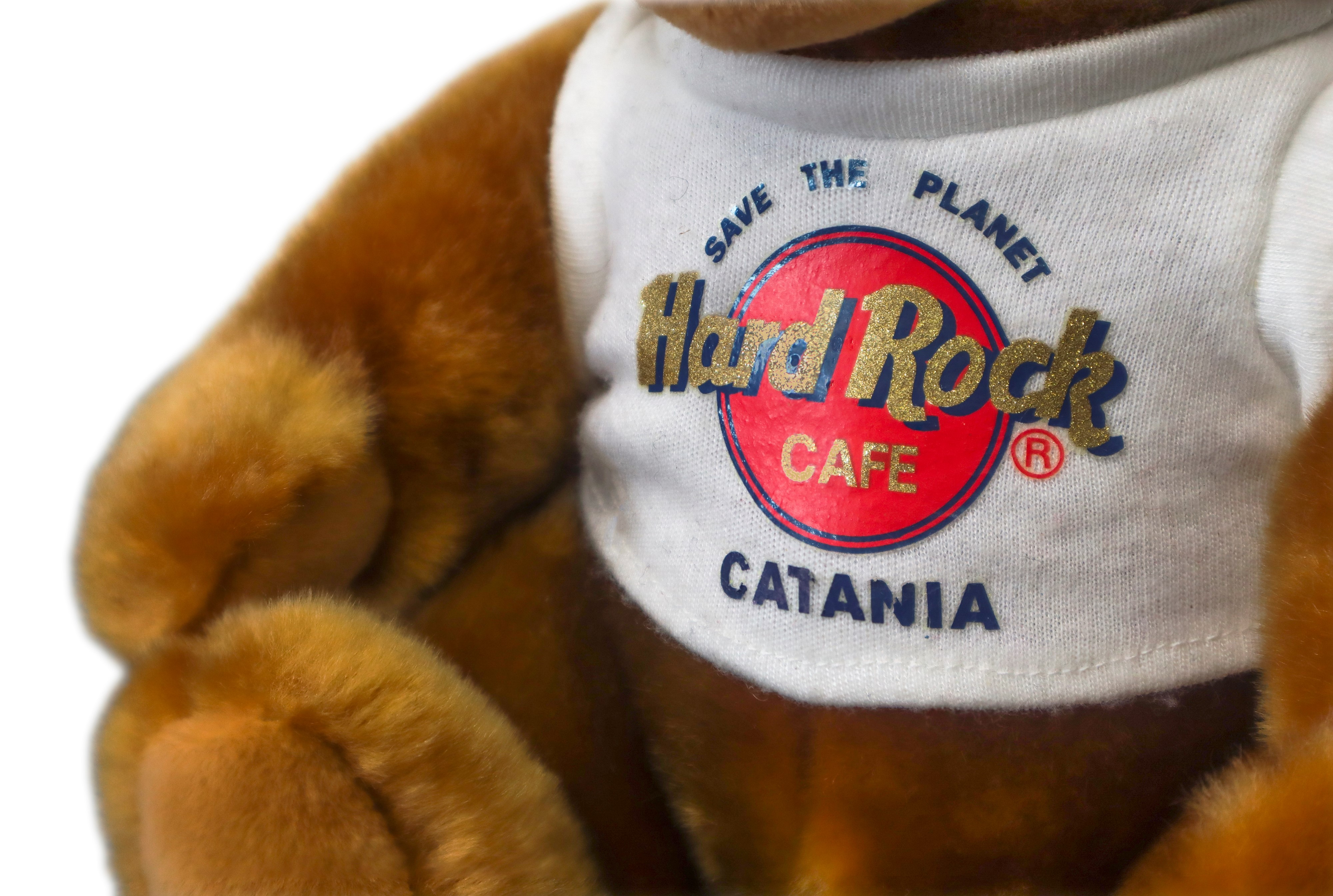 Orso in Peluche, Hard Rock Cafè Catania, Prodotto da Herrington Teddy Bears