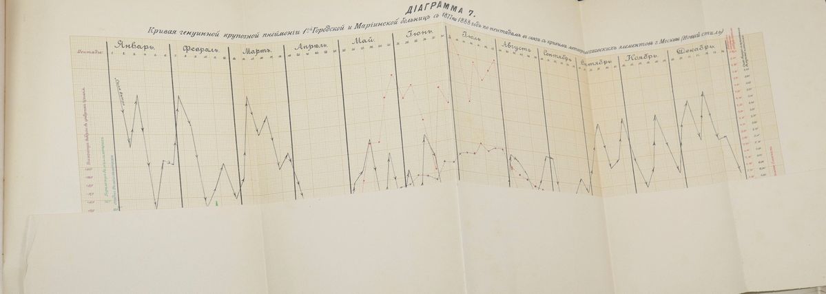 Libro Russo sull'impatto dell'infiammazione dei polmoni.
