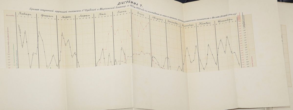 Libro Russo sull'impatto dell'infiammazione dei polmoni.