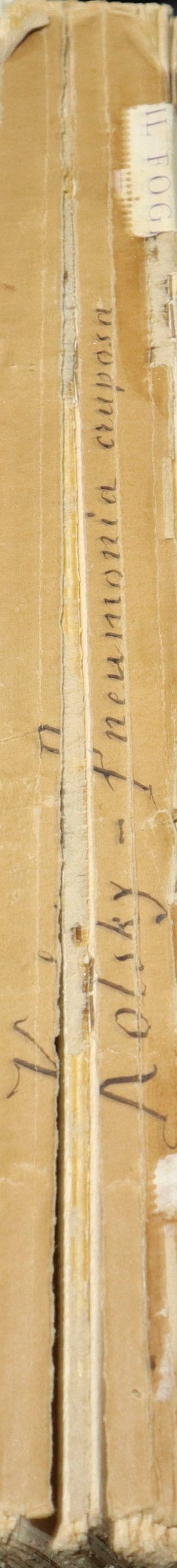 Libro Russo sull'impatto dell'infiammazione dei polmoni.