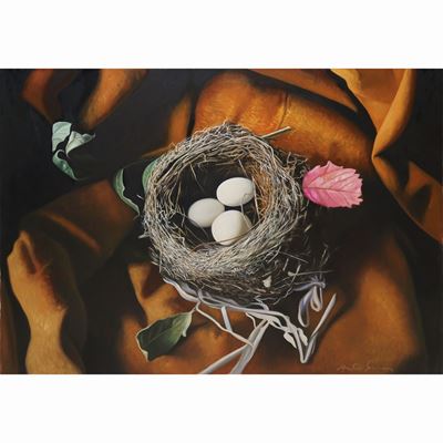 Uova di Uccello nel Nido