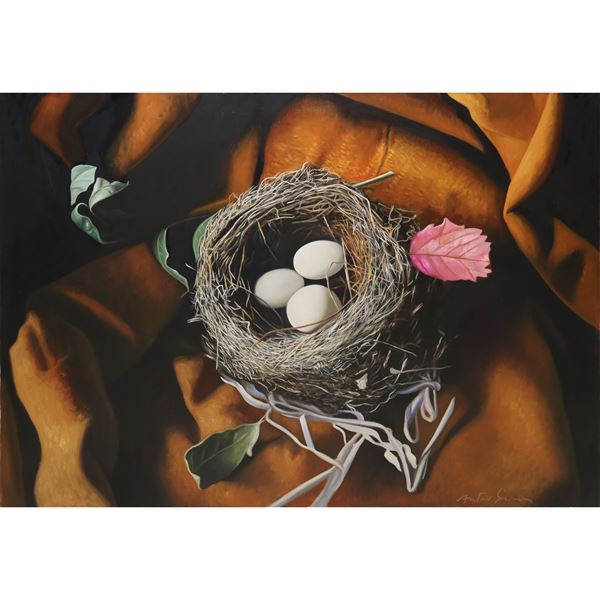 Antonio Sciacca - Bird eggs in the nest