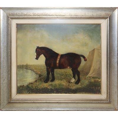 Cavallo al Fiume