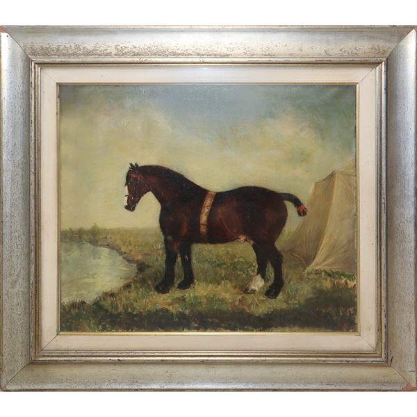Horse at the river