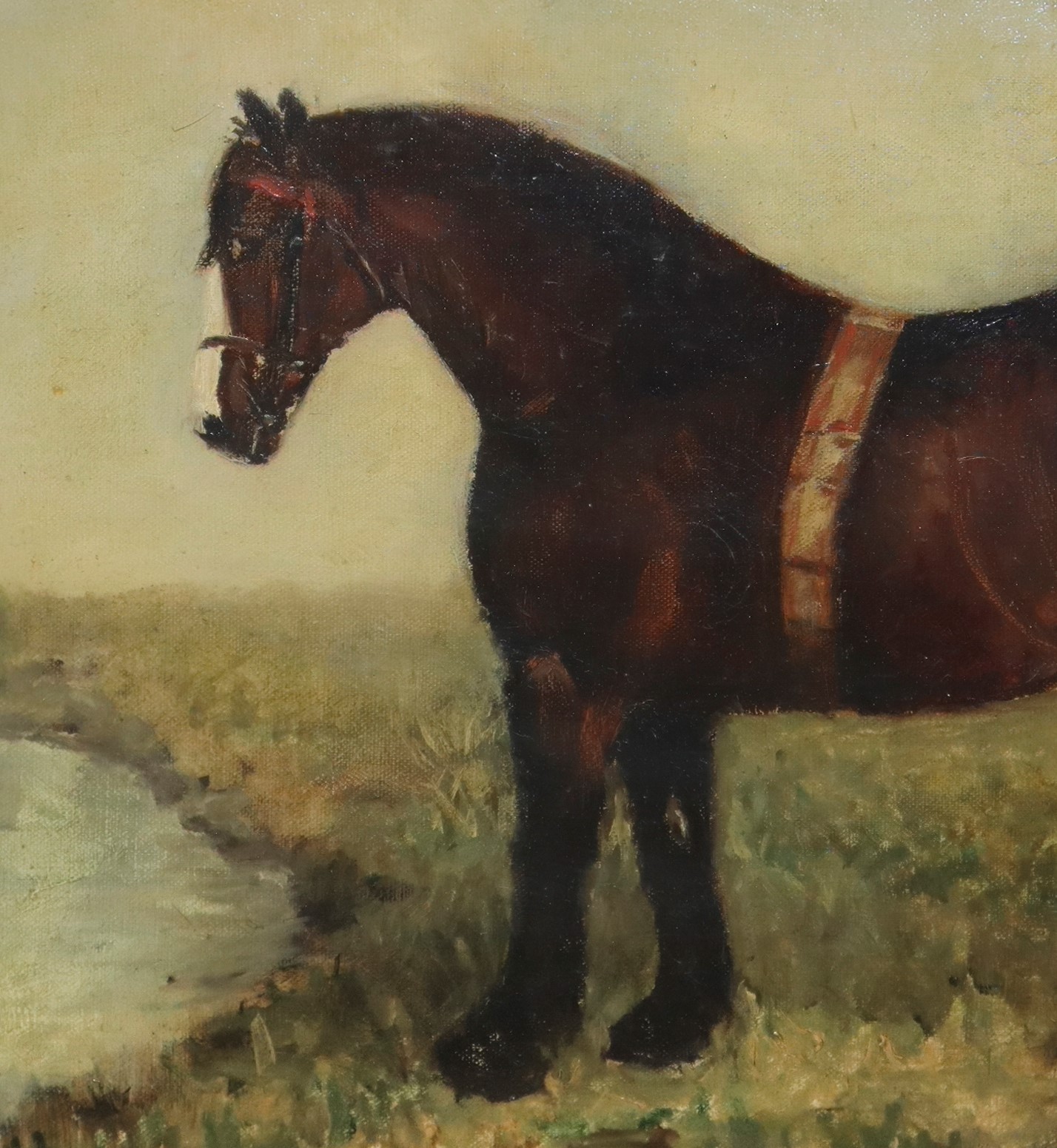 Louis Kaparof - Cavallo al Fiume
