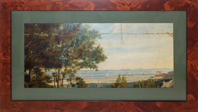 Paesaggio Panoramico con Alberi
