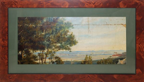 Panoramic landscape with trees