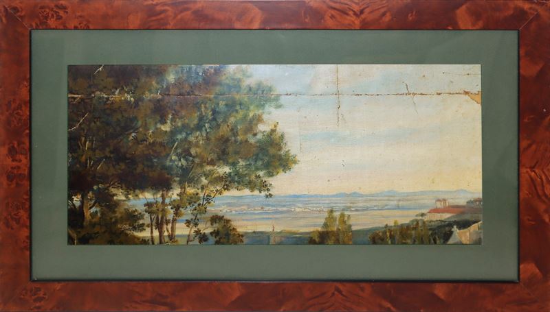 Paesaggio Panoramico con Alberi