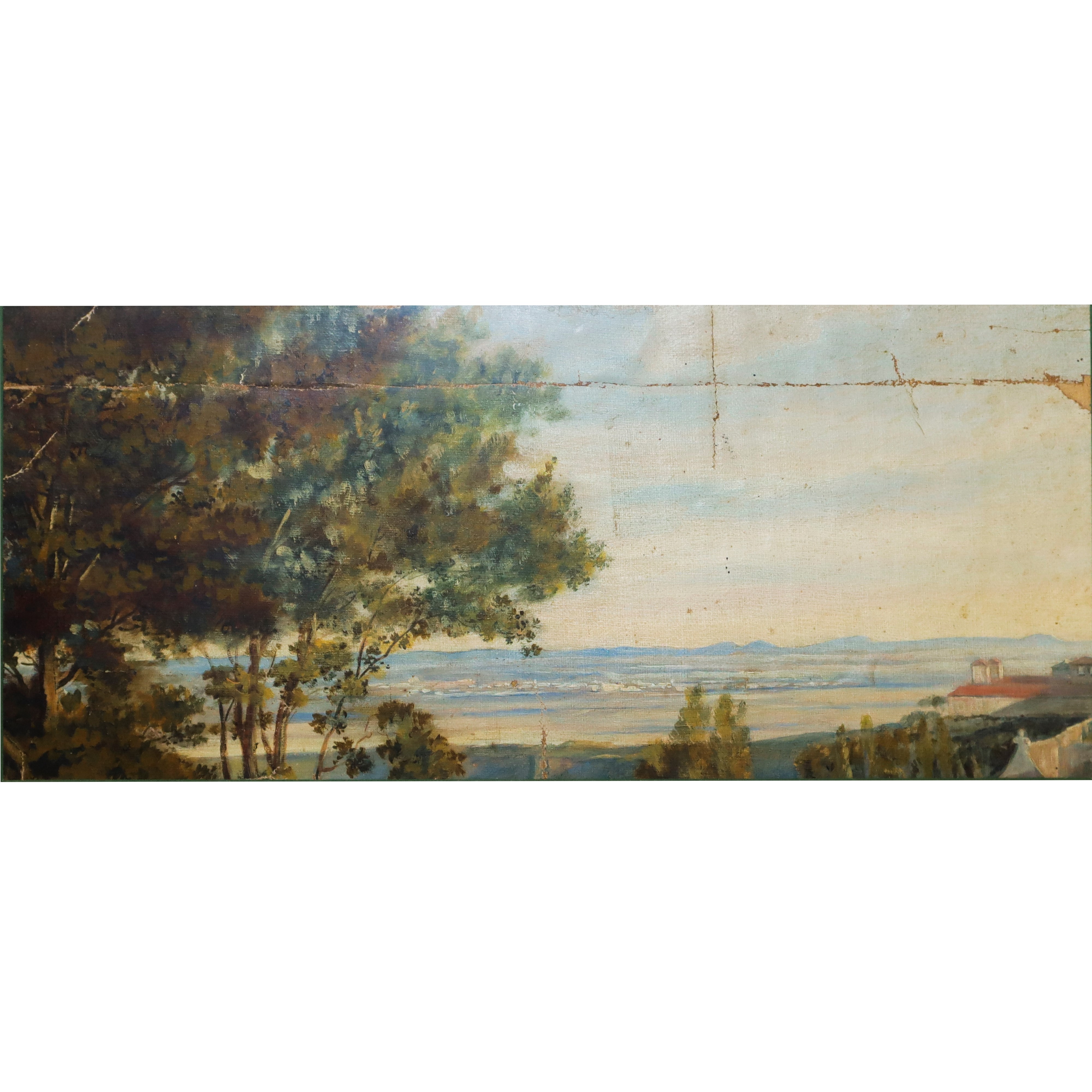Paesaggio Panoramico con Alberi