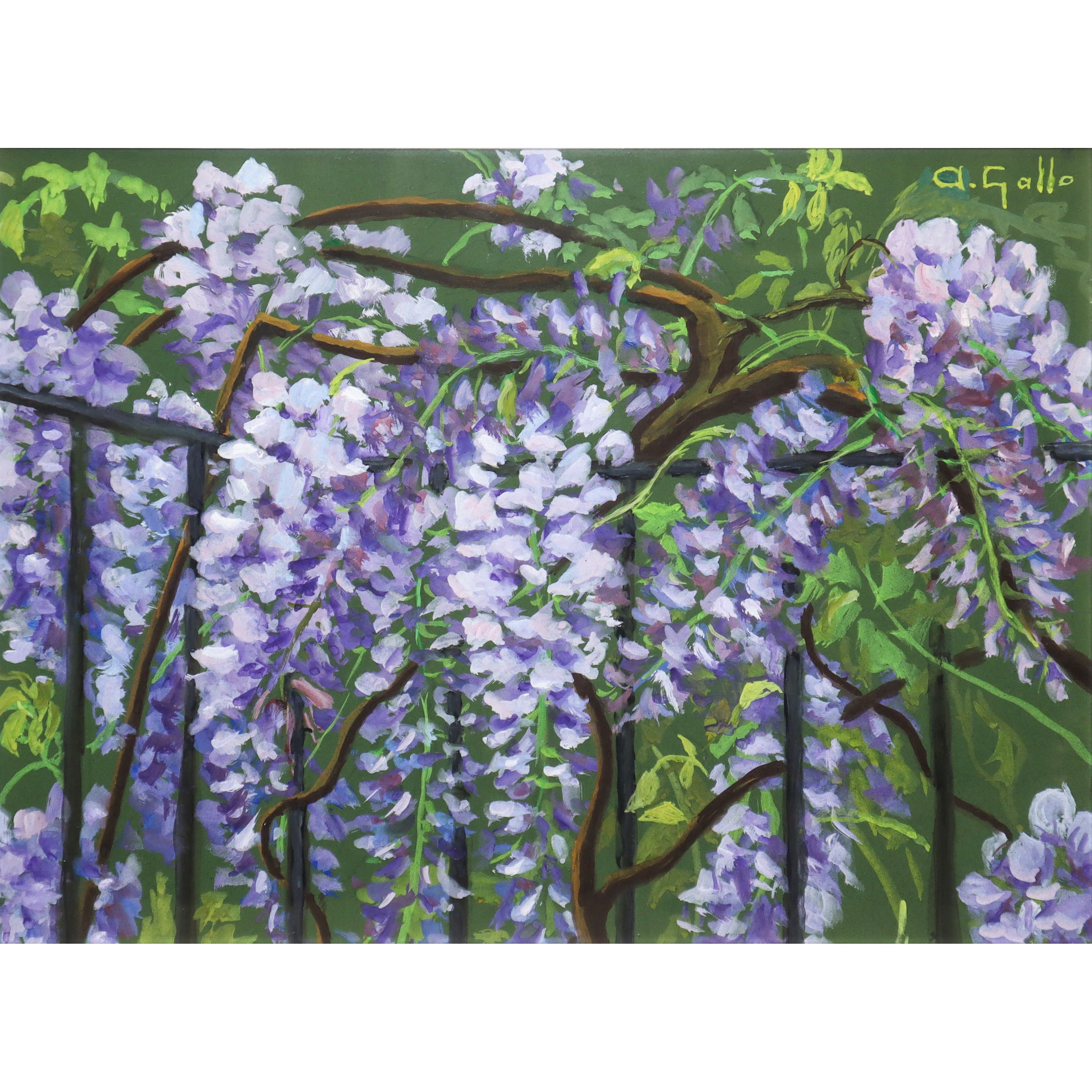 Adriana Gallo - Glicine - Olio su tela applicata a masonite