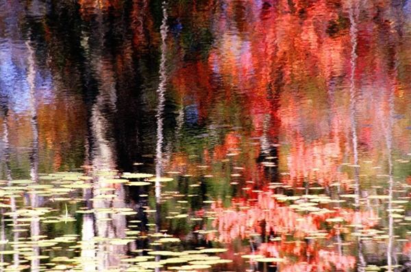 Collection AQUA, titled "Serenade", 2006, slide, 50x70 PDA, Digital Fine Art print on canvas, USA: NJ, residence for artists to I-Park, reflection of autumn trees rose on blue lake water lilies