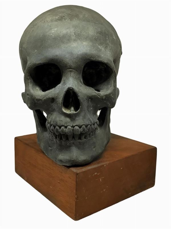 Bronze Skull, late nineteenth century. H 31 cm, 8 cm in wood-based

