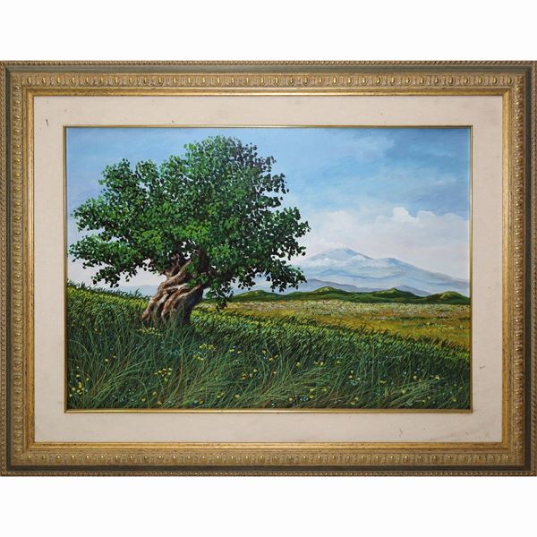 Antonio Cammarata - Sicily in Bloom