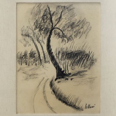 Strada Alberata