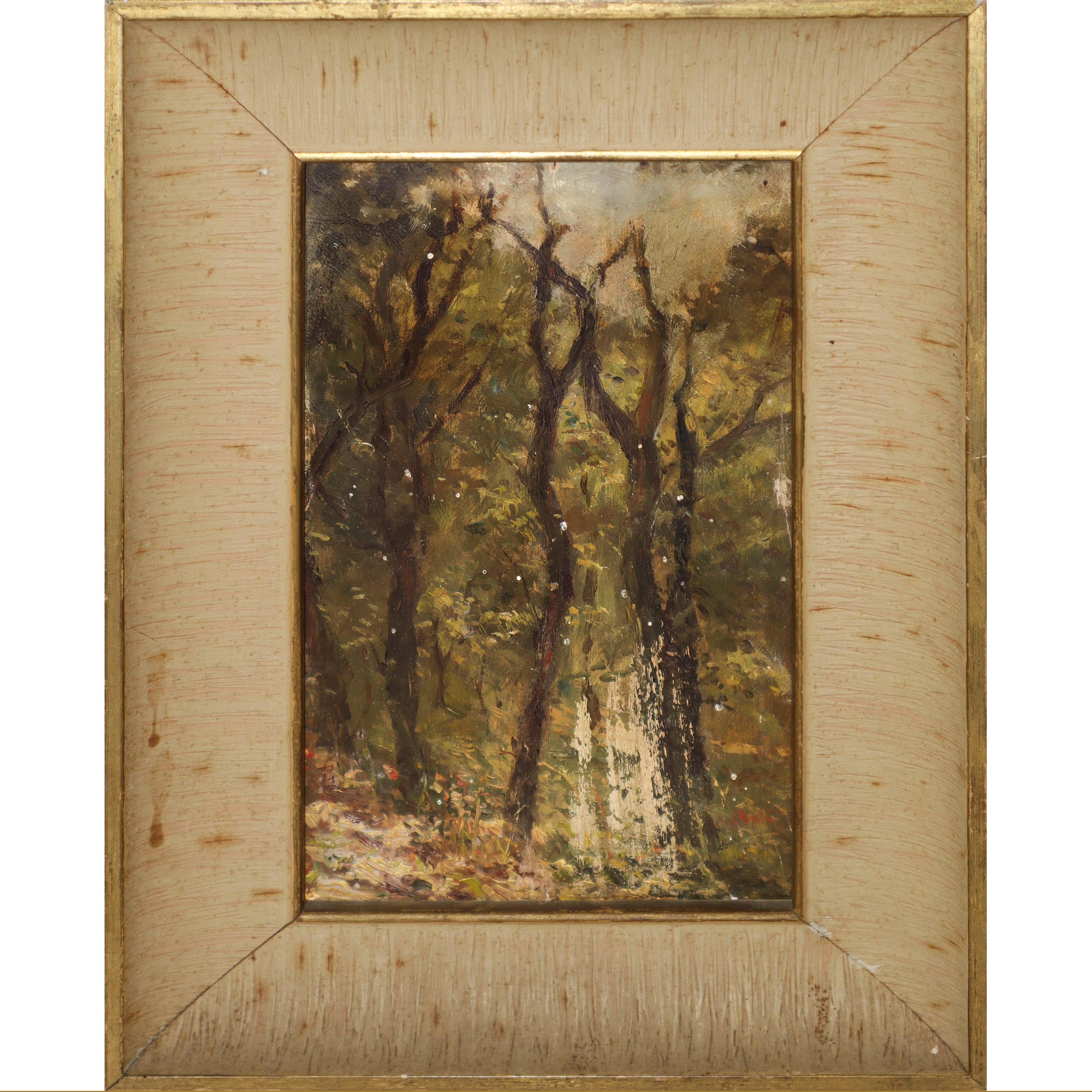 Alberi