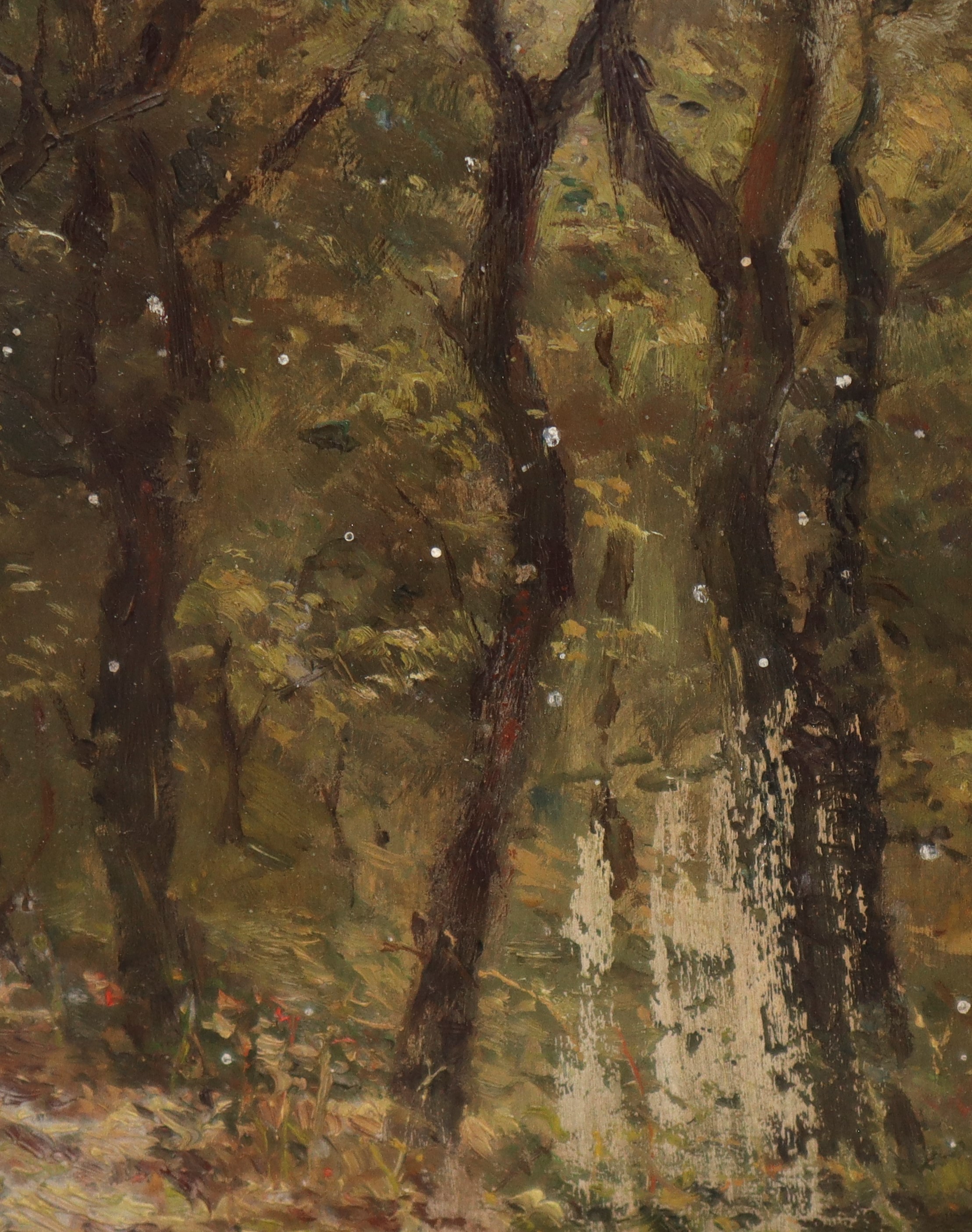 Alberi