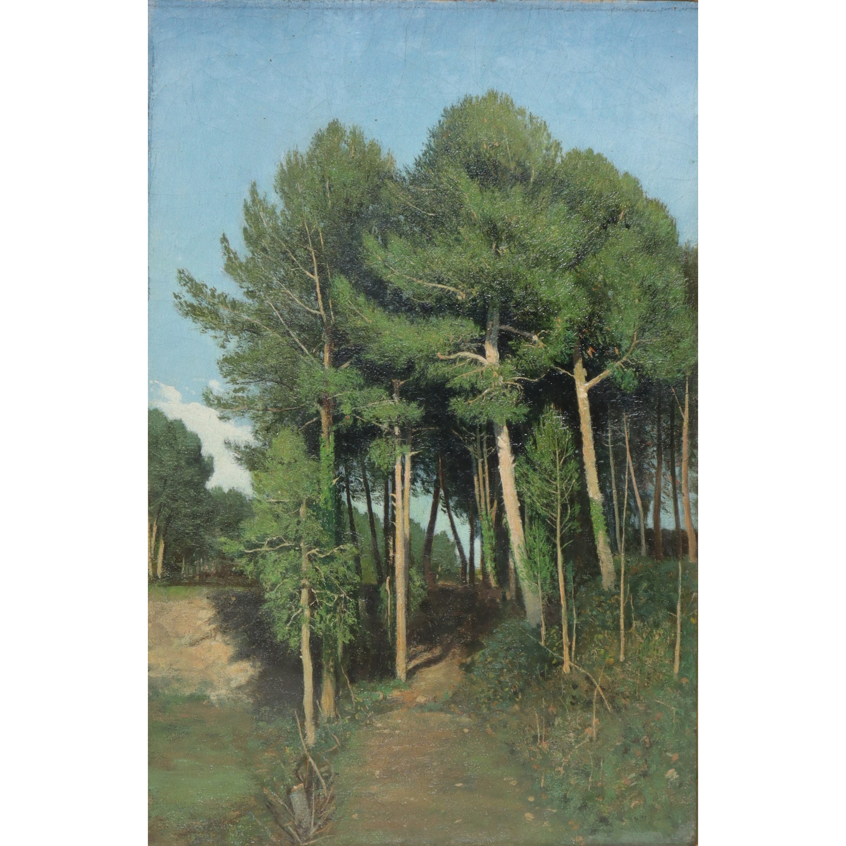 Paesaggio con Alberi
