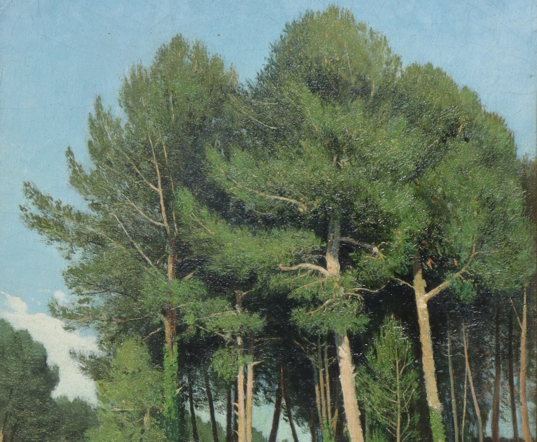 Paesaggio con Alberi