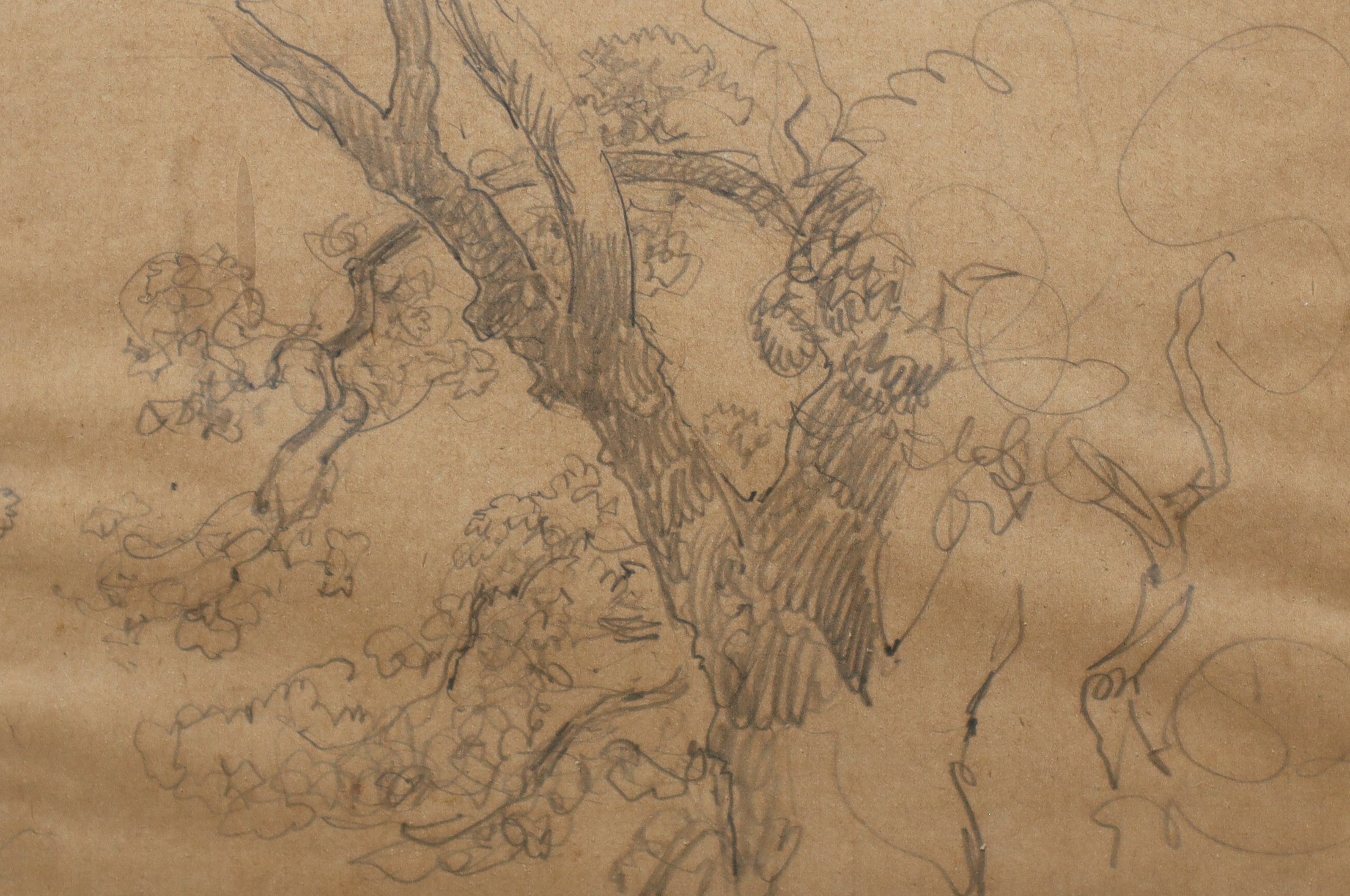 Disegni in cornice, pescatore ed albero