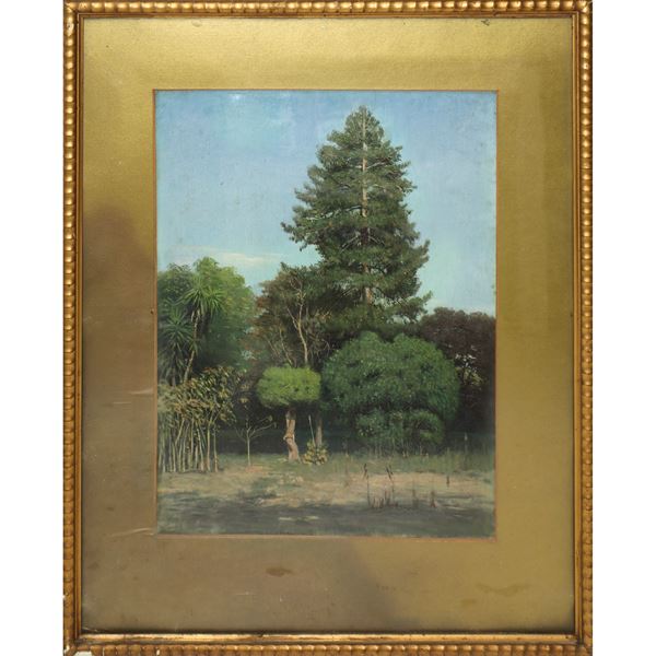 Paesaggio con alberi