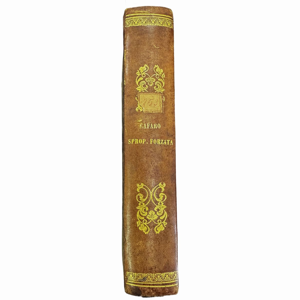 Sul giudizio di Spropriazione forzata degl'immobili di Fortunato Cafaro