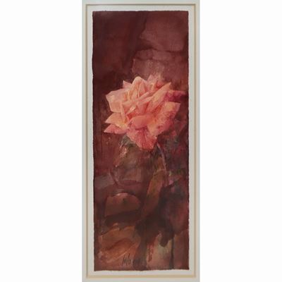 Rosa