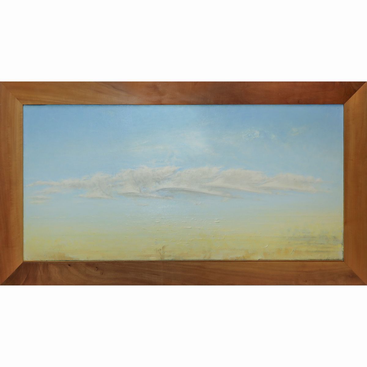 Franco Polizzi - Nuvola Vagante