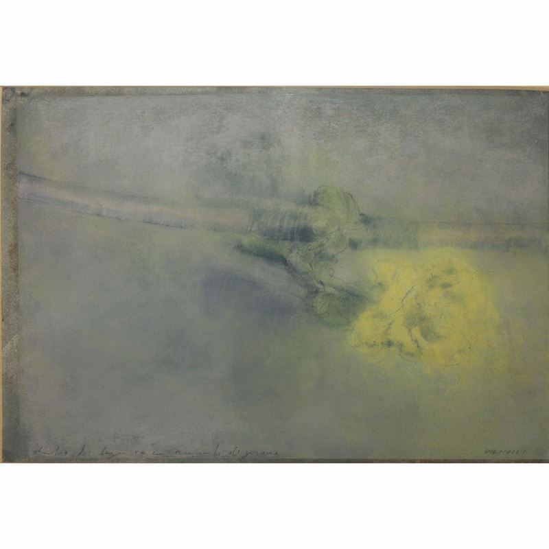 Piero Vignozzi - Studio di ...fiore